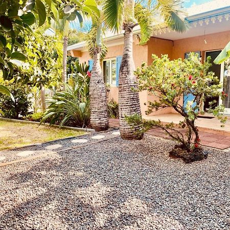 L'Oasis Saint Pierroise Et Son Jacuzzi Villa ภายนอก รูปภาพ